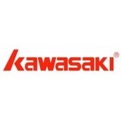 Kawasaki  (35)
